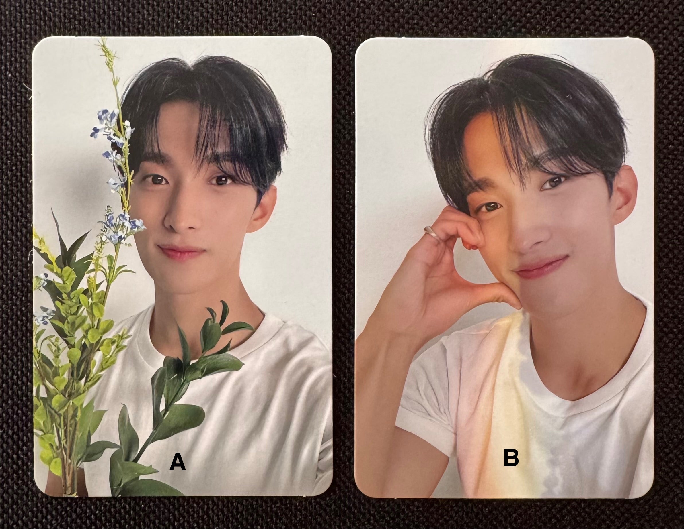 DK • 17 IS RIGHT HERE (Photocards)