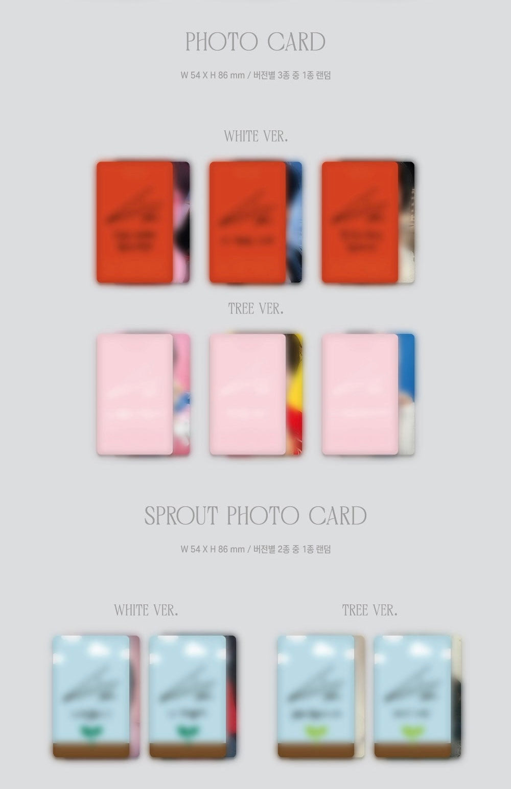 Nam Woo Hyun • WHITREE