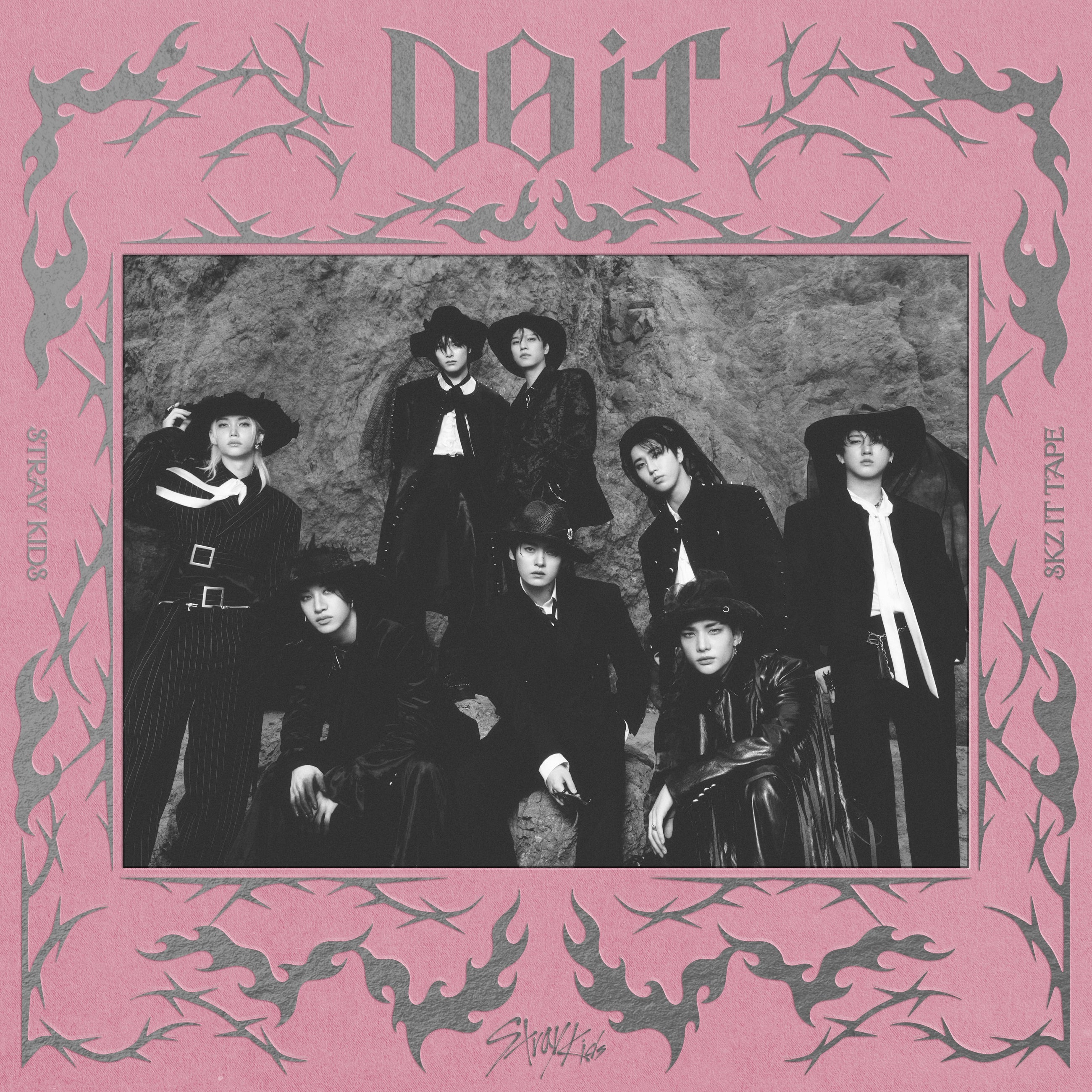 Stray Kids • DO IT