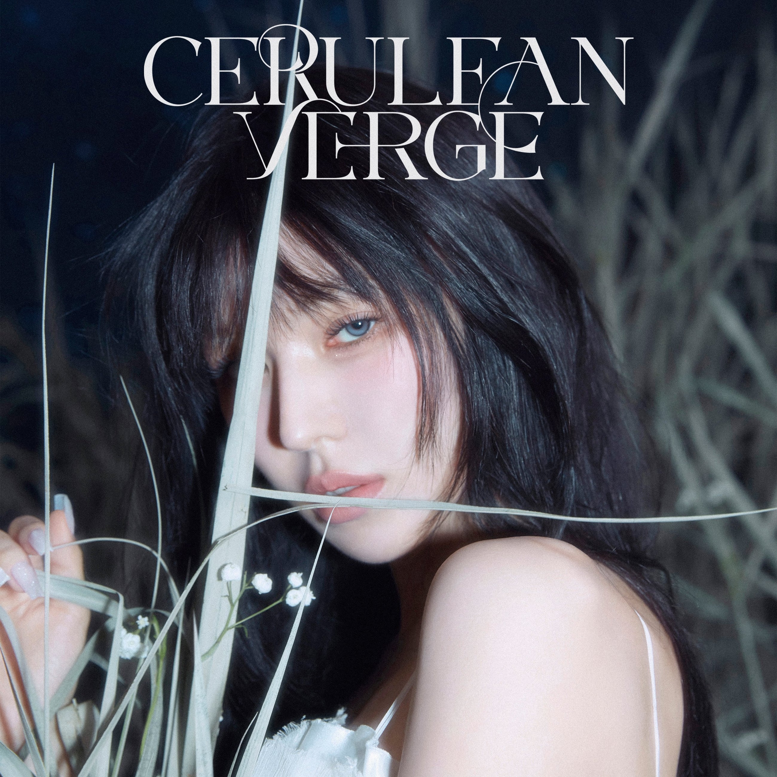 Wendy • Cerulean Verge