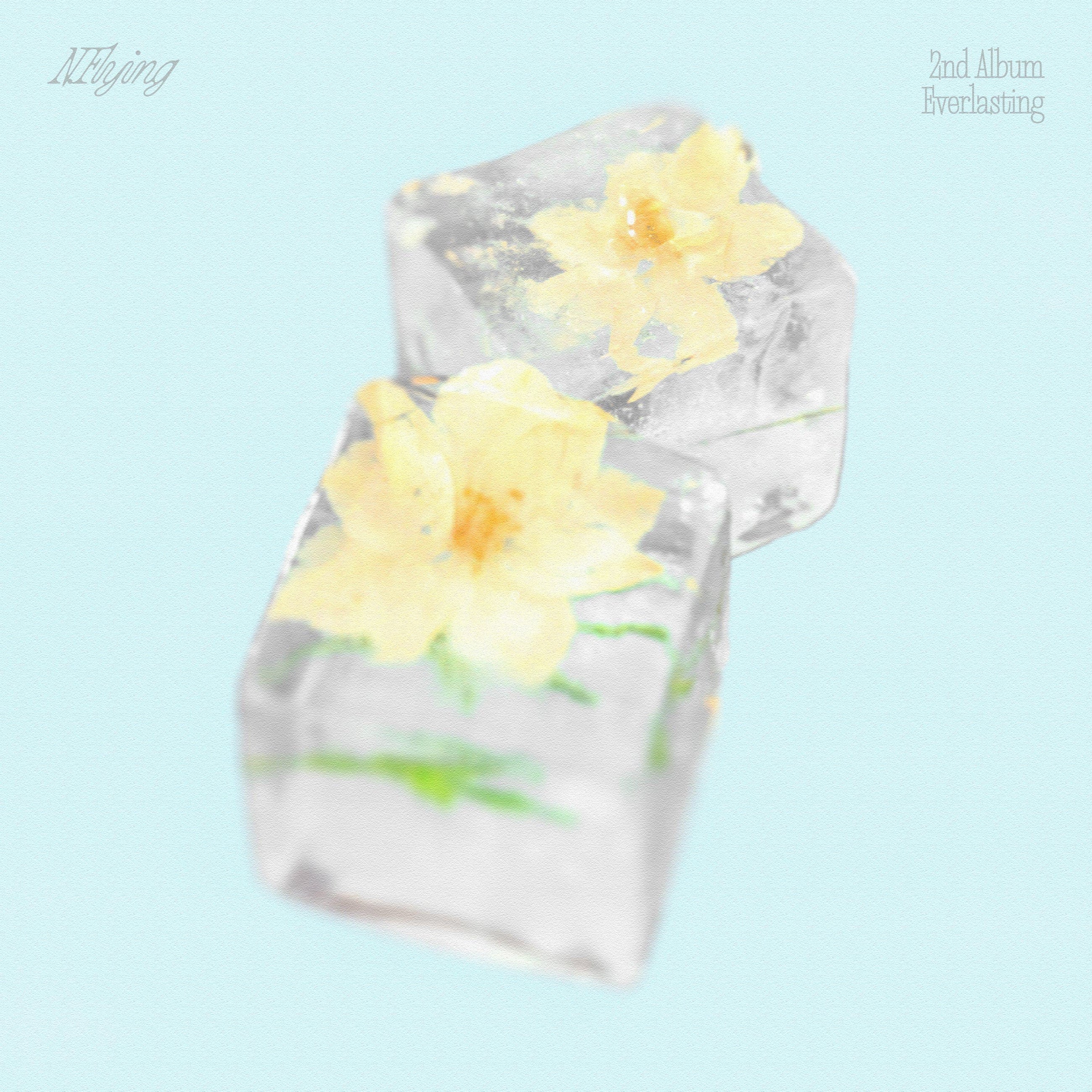 N.Flying • Everlasting