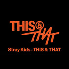 Stray Kids • THIS & THAT (& ver.) [PREORDER]