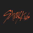 Stray Kids • THIS & THAT [PREORDER]