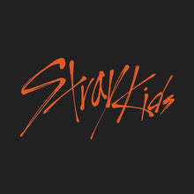 Stray Kids • THIS & THAT [PREORDER]