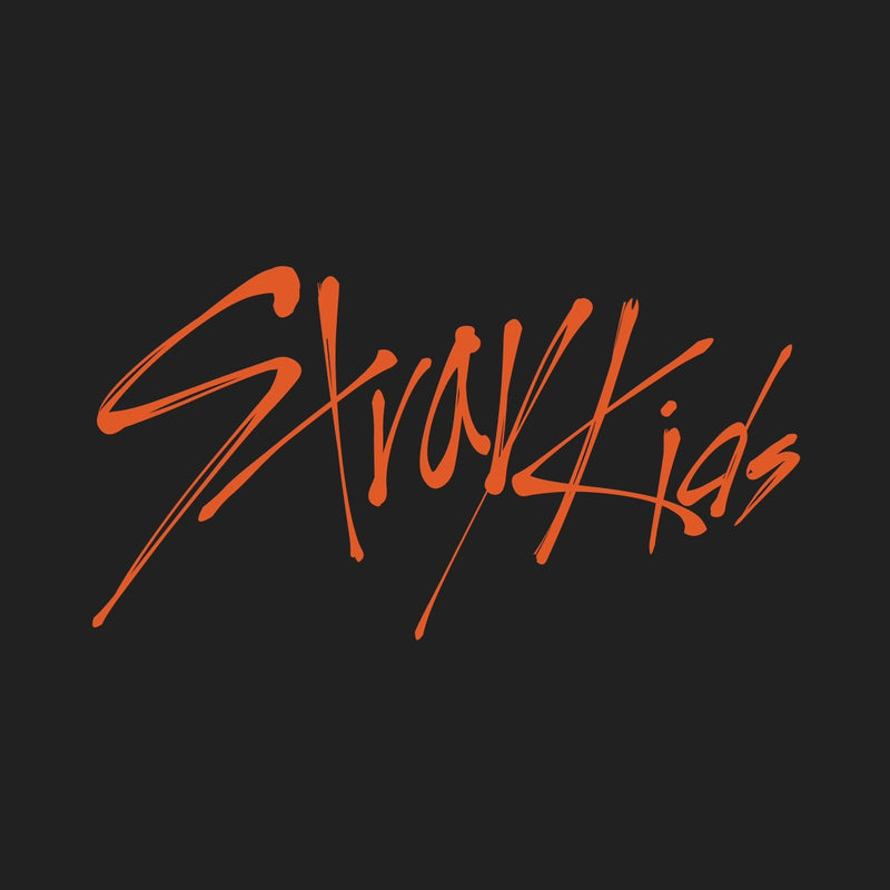 Stray Kids • THIS & THAT [PREORDER]