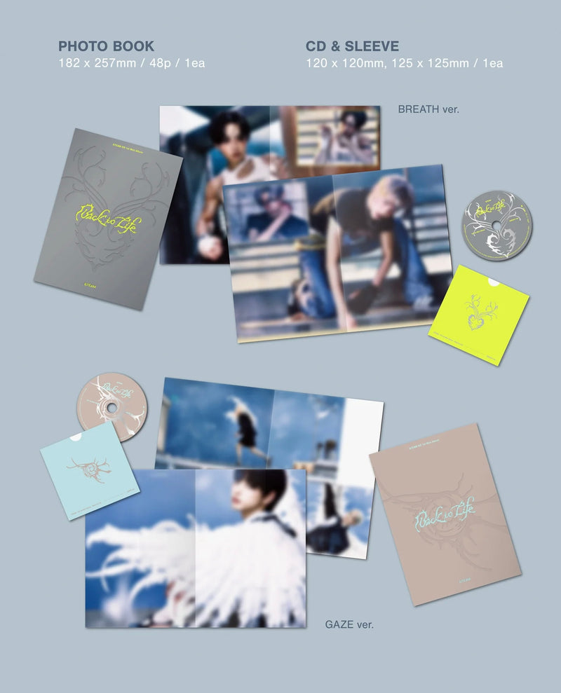 &TEAM • Back to Life