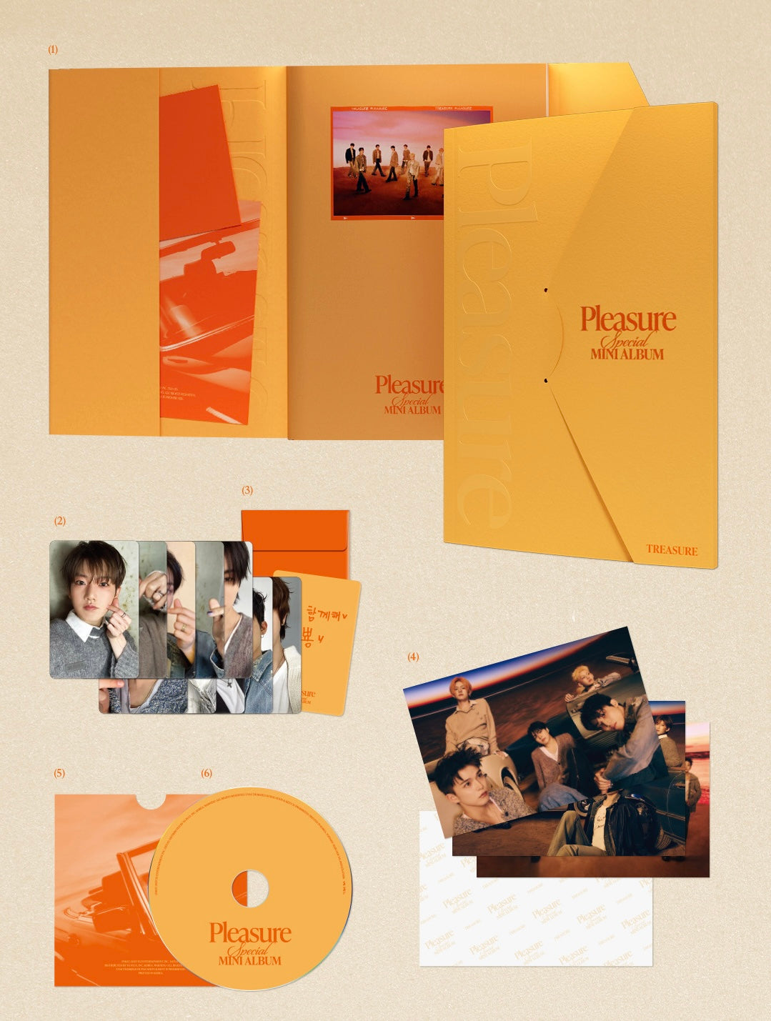 TREASURE • PLEASURE