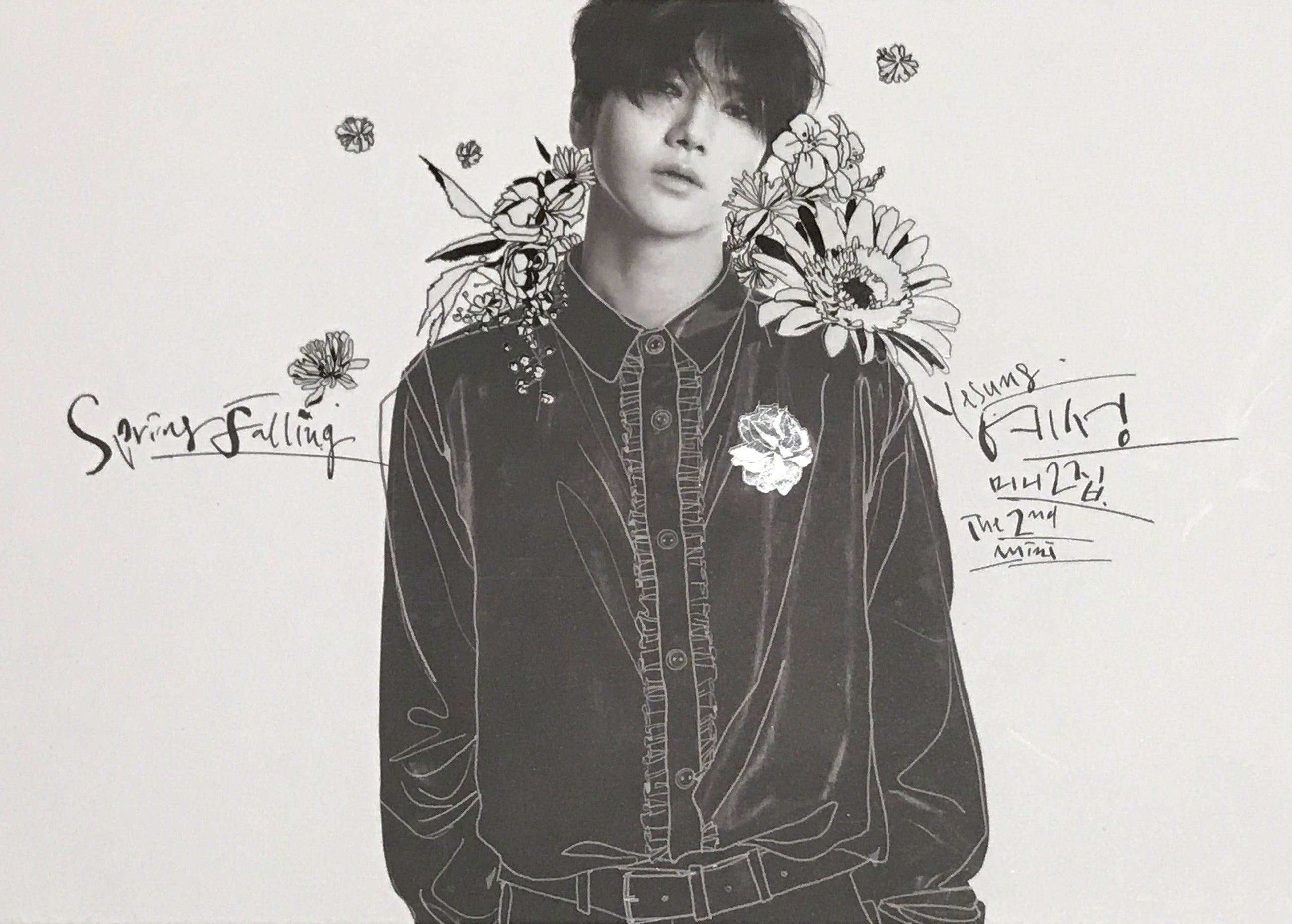 Yesung • Spring Falling