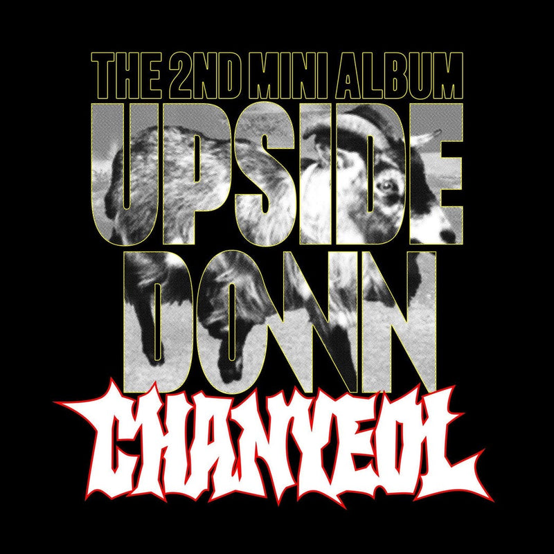 Chanyeol • Upside Down [PREORDER]