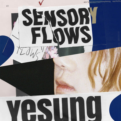 Yesung - Sensory Flows